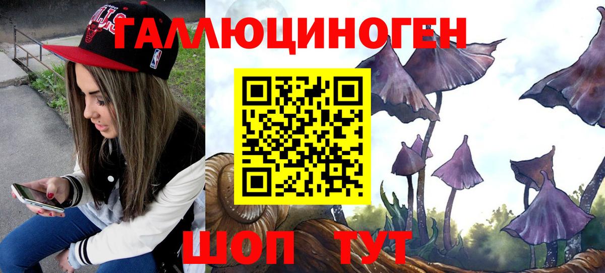 Галлюциногенные грибы GOLDEN TEACHER  Вход с VPN  Острогожск 