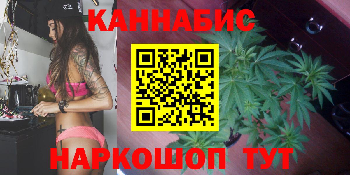 Бошки Шишки планчик  Бошки Шишки гибрид  Вход с VPN  Острогожск  Канабис план 